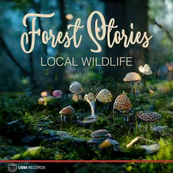 Forest Stories - Local Wildlife
