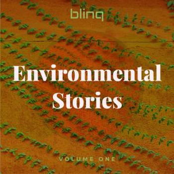 Environmental Stories;