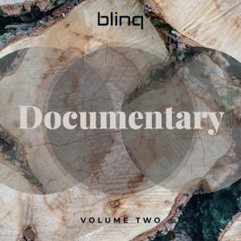 blinq 037 Documentary vol.2