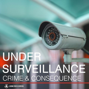 Under Surveillance - Crime and Consequence